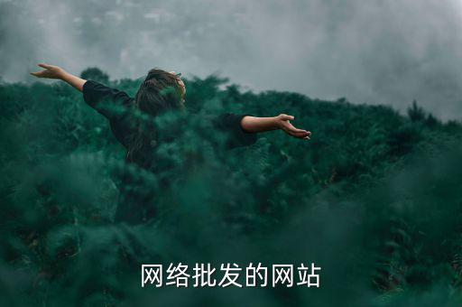 网络批发的网站