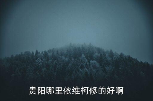 贵阳哪里依维柯修的好啊