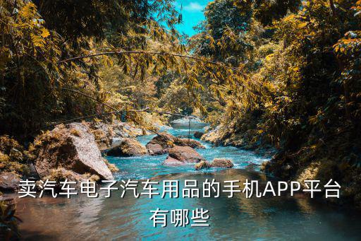 卖汽车电子汽车用品的手机APP平台有哪些