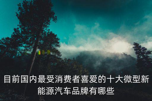 新能源汽车排名前十名极星，金彭新能源汽车在排名榜第一是真的吗