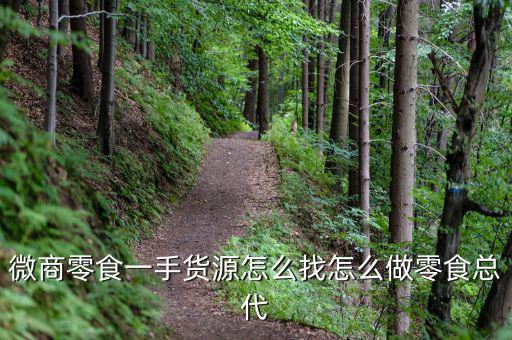 微商零食一手货源怎么找怎么做零食总代