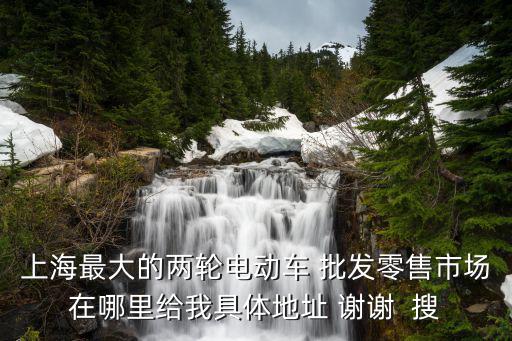 上海最大的两轮电动车 批发零售市场在哪里给我具体地址 谢谢  搜