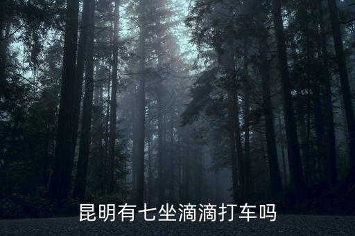昆明有七坐滴滴打车吗