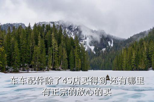 汽车原厂配件去哪里买比较好，汽车原件去哪买