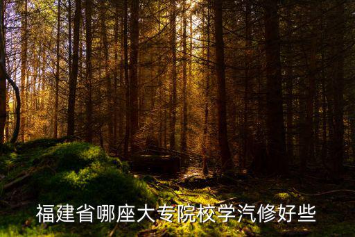 福建省哪座大专院校学汽修好些