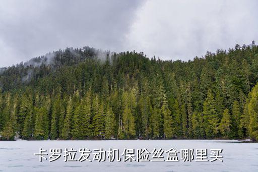 卡罗拉发动机保险丝盒哪里买