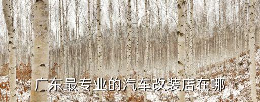 广东最专业的汽车改装店在哪
