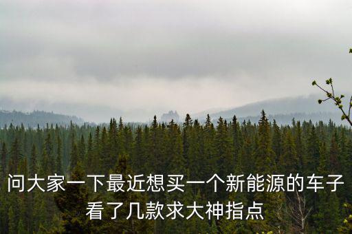 问大家一下最近想买一个新能源的车子看了几款求大神指点