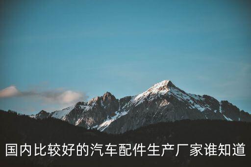 国内比较好的汽车配件生产厂家谁知道