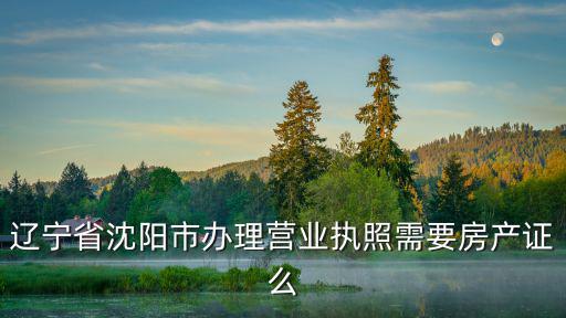 辽宁省沈阳市办理营业执照需要房产证么