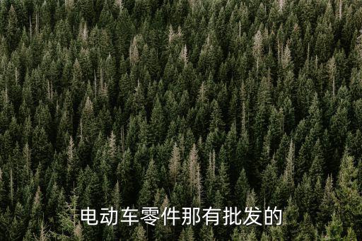 电动车零件那有批发的