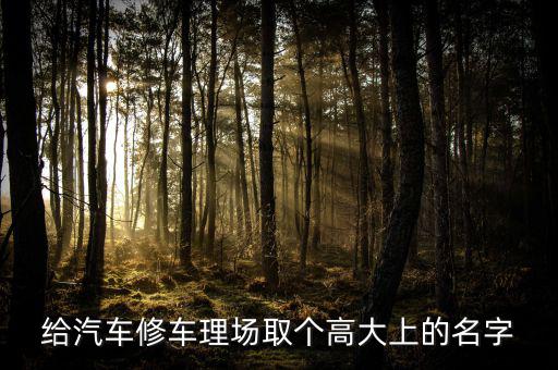 给汽车修车理场取个高大上的名字