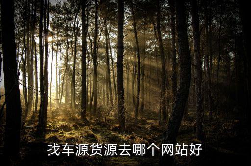 找车源货源去哪个网站好