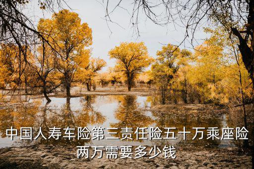 中国人寿车险第三责任险五十万乘座险两万需要多少钱