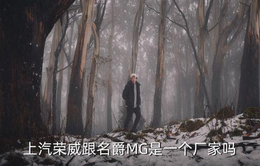 上汽荣威跟名爵MG是一个厂家吗
