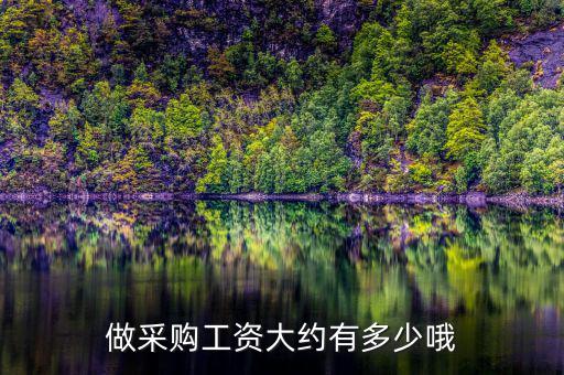 做采购工资大约有多少哦