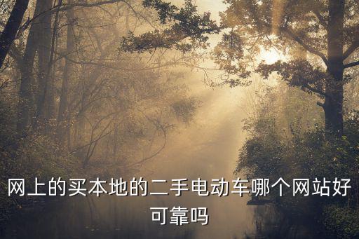 网上的买本地的二手电动车哪个网站好可靠吗