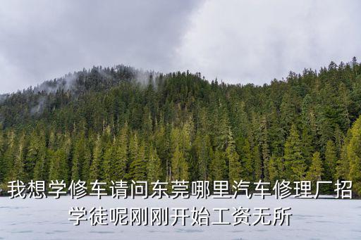 我想学修车请问东莞哪里汽车修理厂招学徒呢刚刚开始工资无所