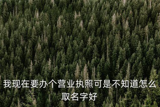 我现在要办个营业执照可是不知道怎么取名字好