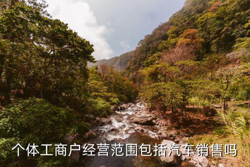 汽车服务营业执照个体户经营范围，汽车服务公司的经营范围