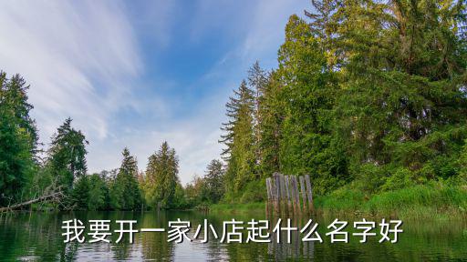 我要开一家小店起什么名字好