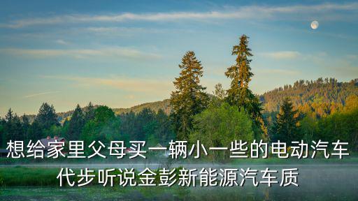 想给家里父母买一辆小一些的电动汽车代步听说金彭新能源汽车质