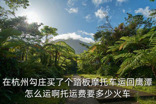 杭州板车托运汽车，杭州汽车托运怎么查询