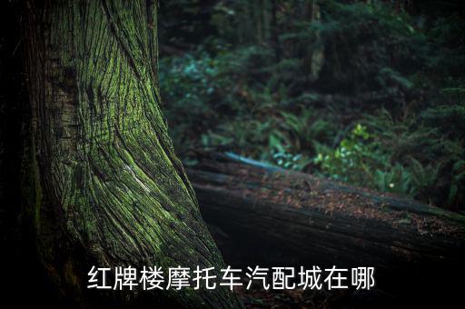 红牌楼摩托车汽配城在哪