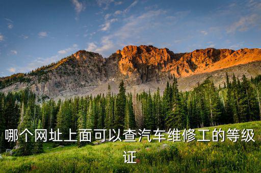 哪个网址上面可以查汽车维修工的等级证
