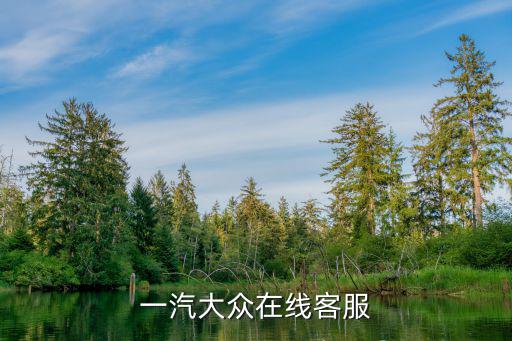 一汽大众在线客服