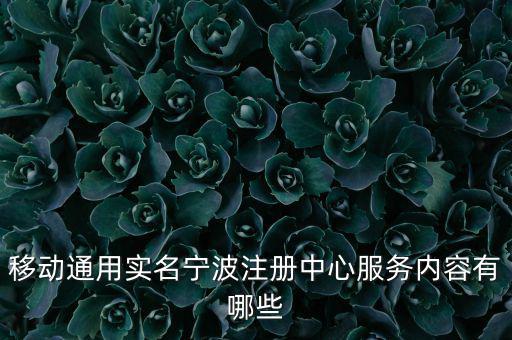 服务中心服务包括哪些内容，移动通用实名宁波注册中心服务内容有哪些