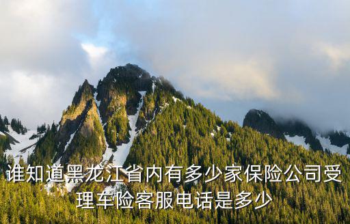 谁知道黑龙江省内有多少家保险公司受理车险客服电话是多少