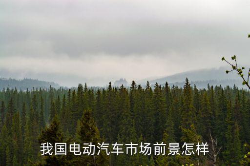 我国电动汽车市场前景怎样