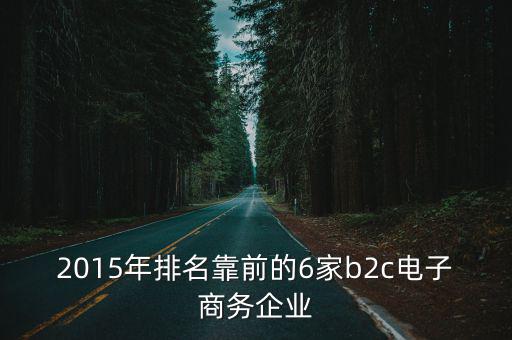 2015年排名靠前的6家b2c电子商务企业