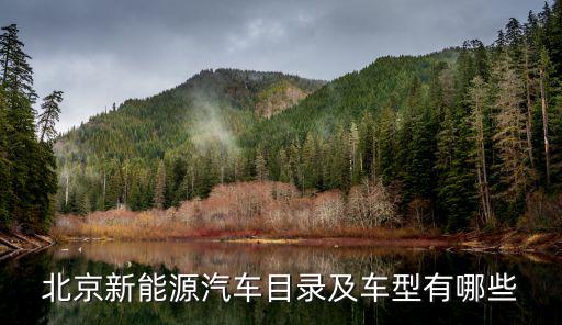 北京新能源汽车目录及车型有哪些