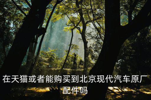 在天猫或者能购买到北京现代汽车原厂配件吗