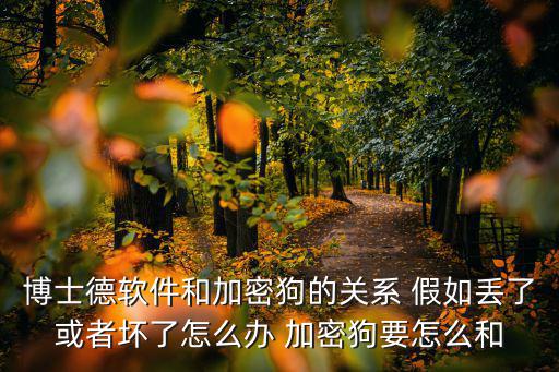 博士德软件和加密狗的关系 假如丢了或者坏了怎么办 加密狗要怎么和