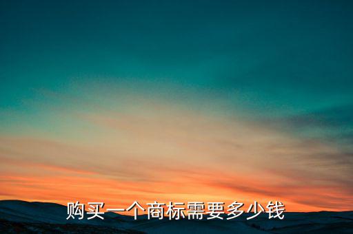 购买一个商标需要多少钱
