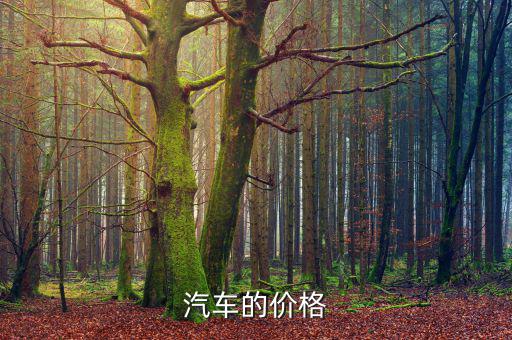 易车网2021汽车报价，易车网的价格是