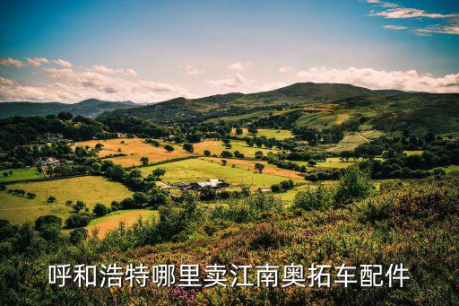 呼和浩特哪里卖江南奥拓车配件