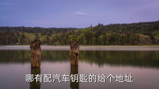 哪有配汽车钥匙的给个地址
