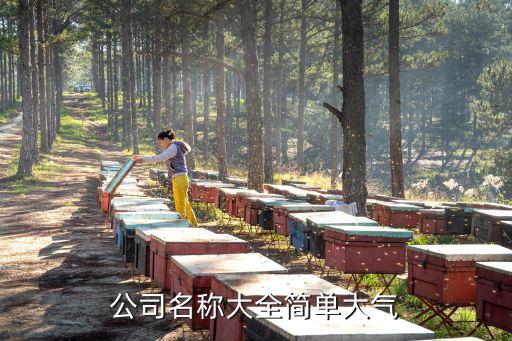 公司名称大全简单大气