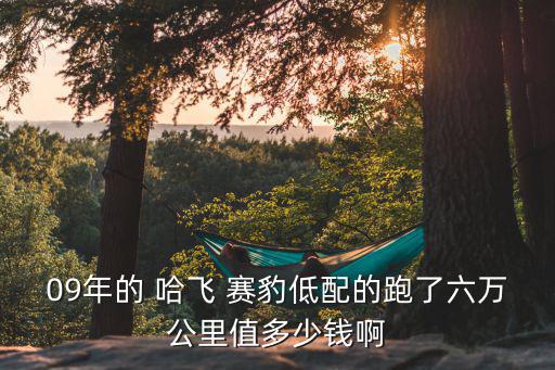 09年的 哈飞 赛豹低配的跑了六万公里值多少钱啊