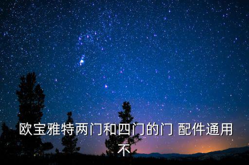  欧宝雅特两门和四门的门 配件通用不