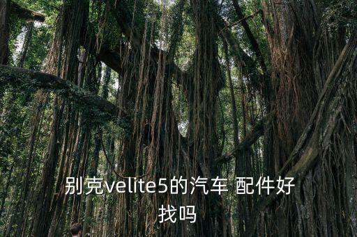  别克velite5的汽车 配件好找吗