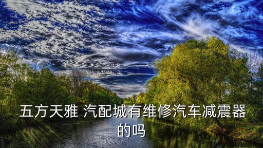  五方天雅 汽配城有维修汽车减震器的吗