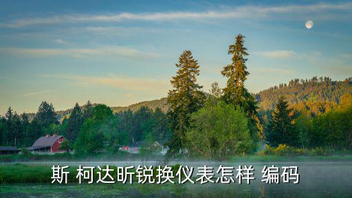 斯 柯达昕锐换仪表怎样 编码