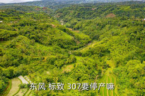 东风 标致 307要停产嘛