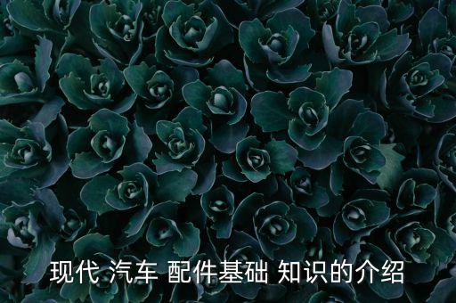 现代 汽车 配件基础 知识的介绍