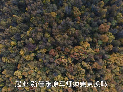 起亚 新佳乐原车灯须要更换吗